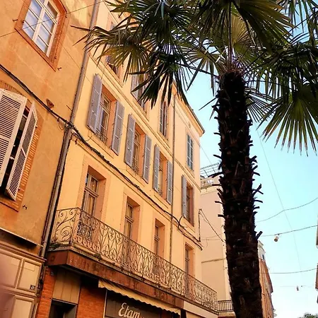 Le Bon'appart - 50m De La Cathedrale Apartamento Montauban