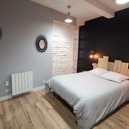 Le Bon'appart - 50m De La Cathedrale Apartamento Montauban